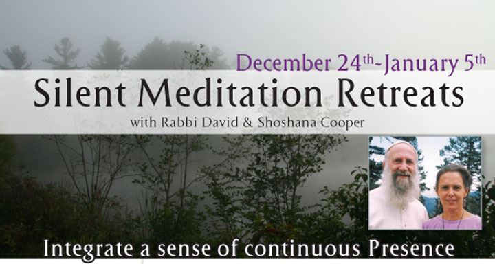 Winter Silent Meditation Retreats